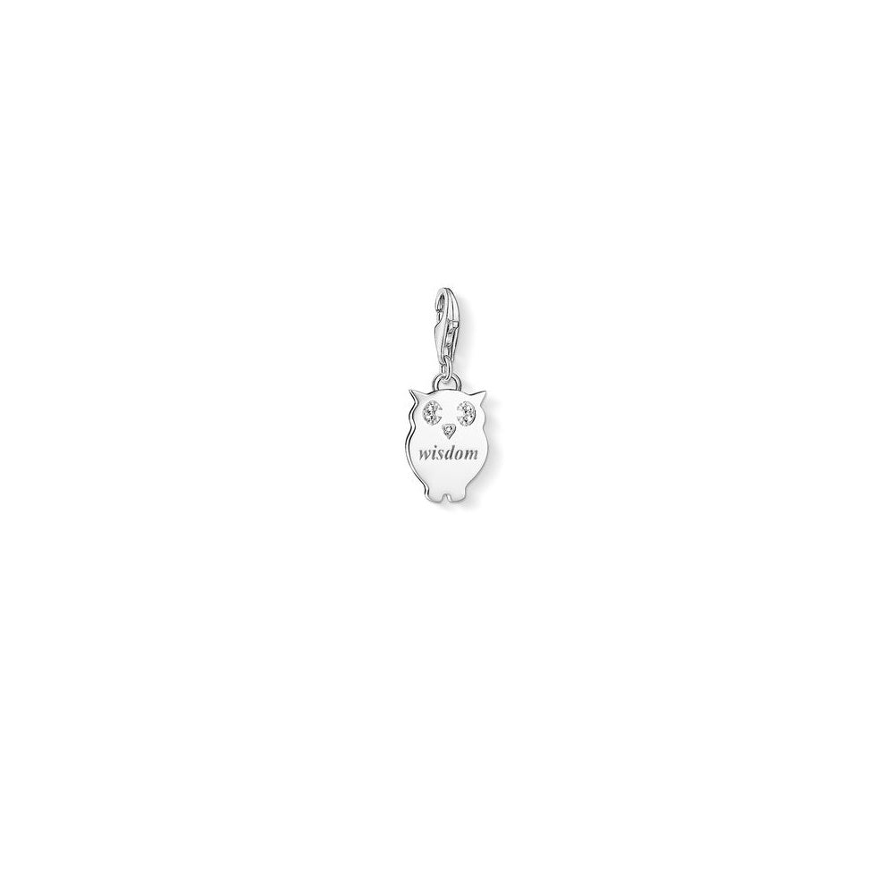 Charm Club Silver Diamond Wisdom Charm