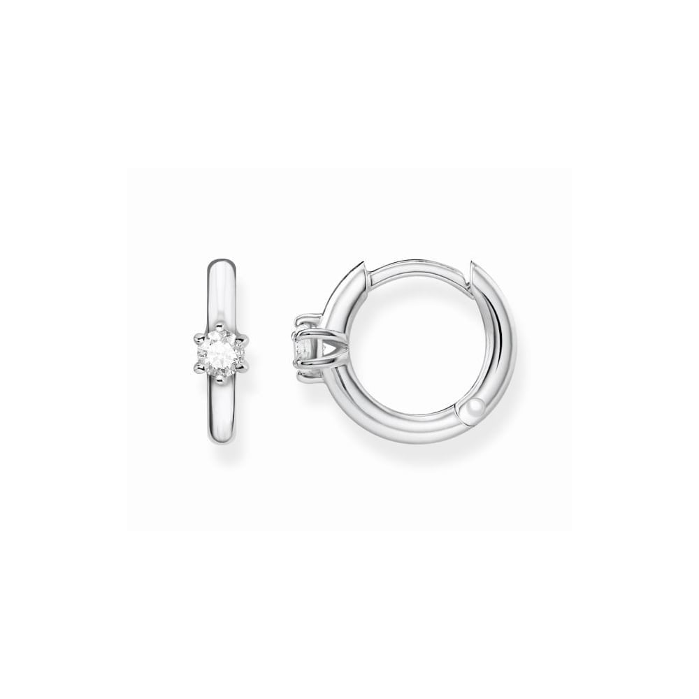 Silver Classic Hinged Hoops Earrings